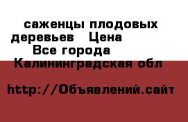 саженцы плодовых деревьев › Цена ­ 6 080 - Все города  »    . Калининградская обл.